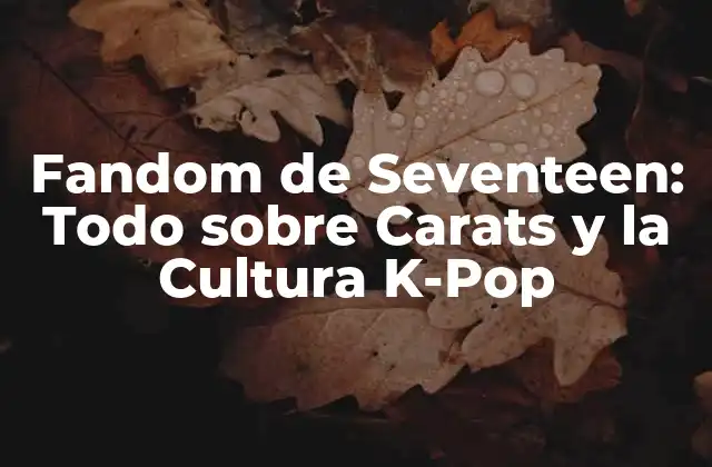 Fandom de Seventeen: Todo sobre Carats y la Cultura K-pop
