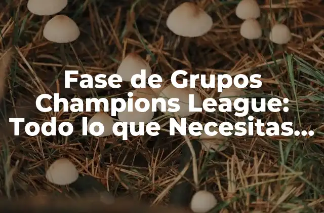Fase de Grupos Champions League: Todo Lo que Necesitas Saber