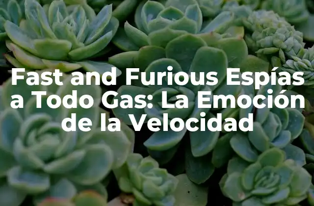Fast And Furious Espías a Todo Gas: la Emoción de la Velocidad