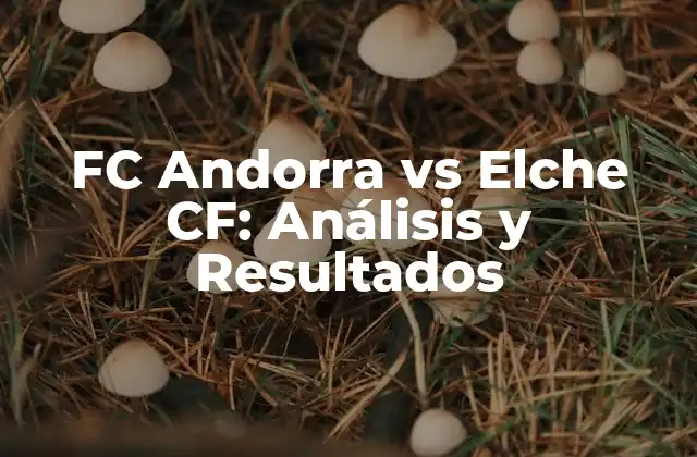 Fc Andorra Vs Elche Cf: Análisis y Resultados 2 El FC Andorra: Un Equipo con una Rica Historia