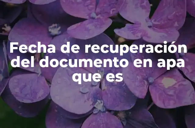 Fecha de Recuperación Del Documento en Apa que es