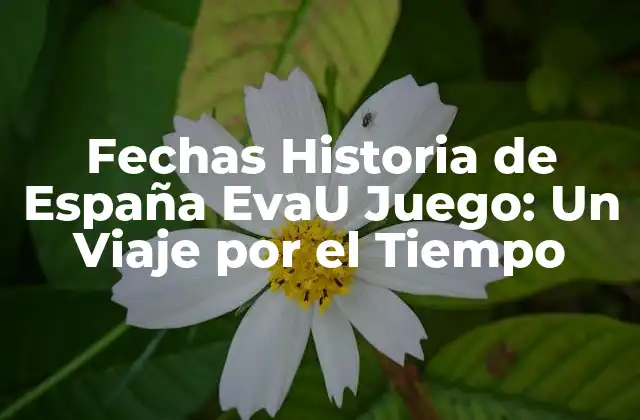 Fechas Historia de España Evau Juego: un Viaje por el Tiempo