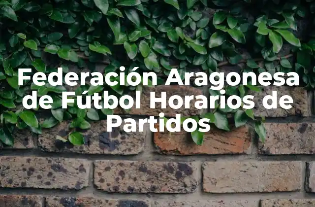 Federación Aragonesa de Fútbol Horarios de Partidos 2 Importancia de los Horarios de Partidos en la Federación Aragonesa de Fútbol