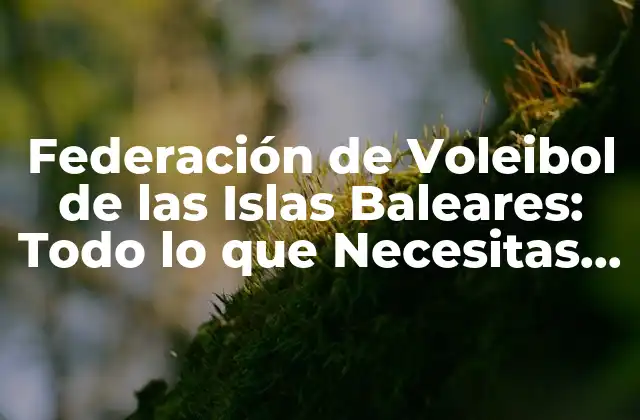 Federación de Voleibol de las Islas Baleares: Todo Lo que Necesitas Saber