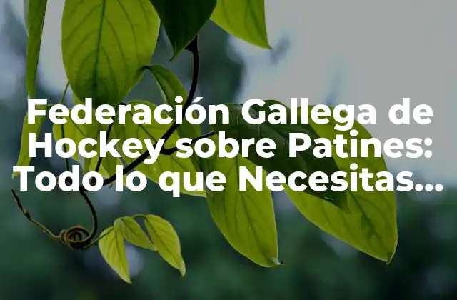 Federación Gallega de Hockey sobre Patines: Todo Lo que Necesitas Saber