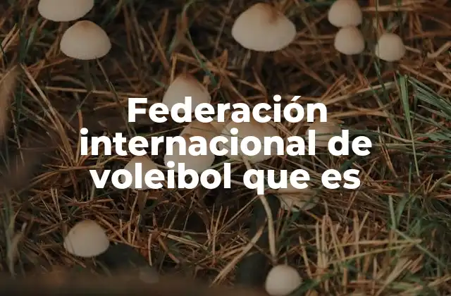 Federación Internacional de Voleibol que es