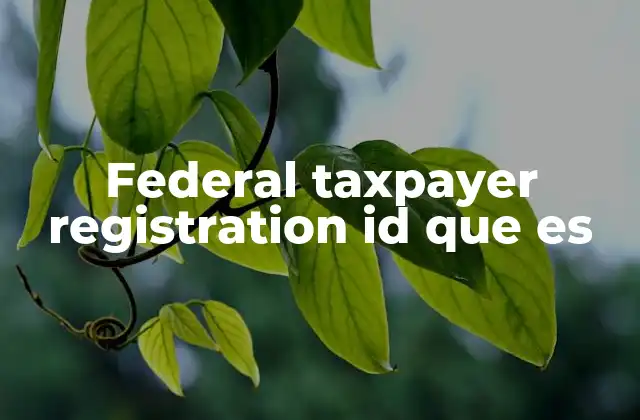 Federal Taxpayer Registration Id que es