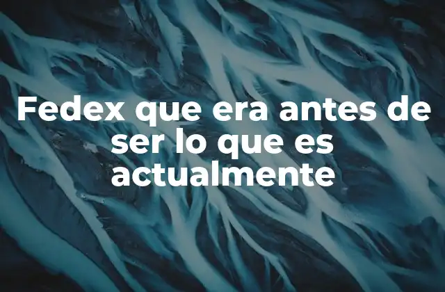 Fedex que Era Antes de Ser Lo que es Actualmente