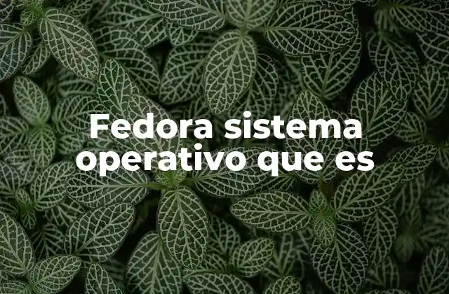 Fedora Sistema Operativo que es