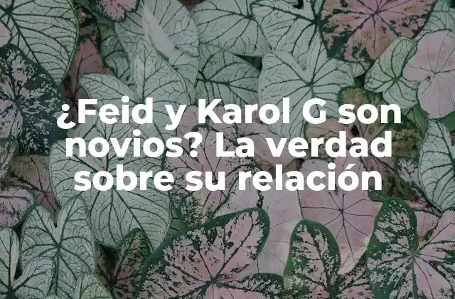 ¿feid y Karol G Son Novios? la Verdad sobre Su Relación
