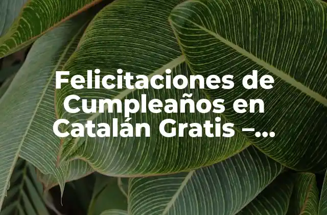Felicitaciones de Cumpleaños en Catalán Gratis – Descubre las Mejores Ideas