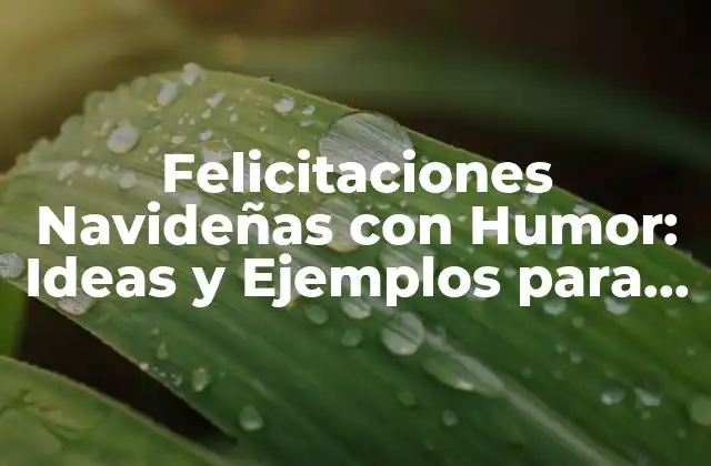 Felicitaciones Navideñas con Humor: Ideas y Ejemplos para una Navidad Diferente