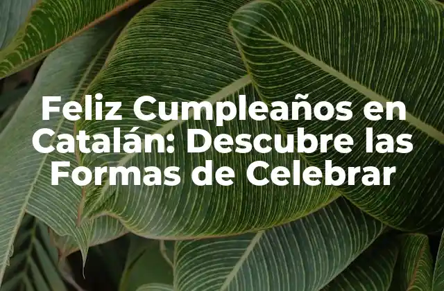 Feliz Cumpleaños en Catalán: Descubre las Formas de Celebrar 2 La Importancia de la Lengua Catalana en la Celebración del Cumpleaños
