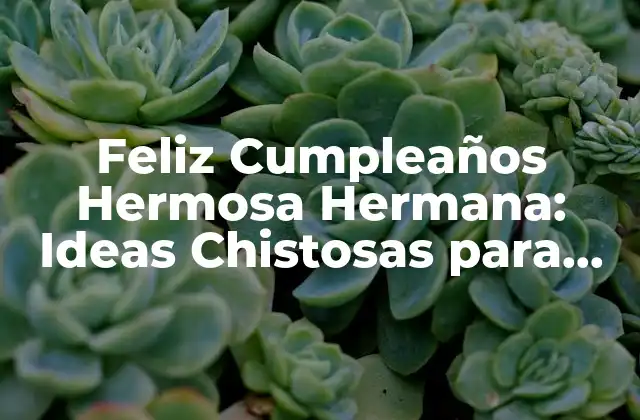 Feliz Cumpleaños Hermosa Hermana: Ideas Chistosas para Celebrar