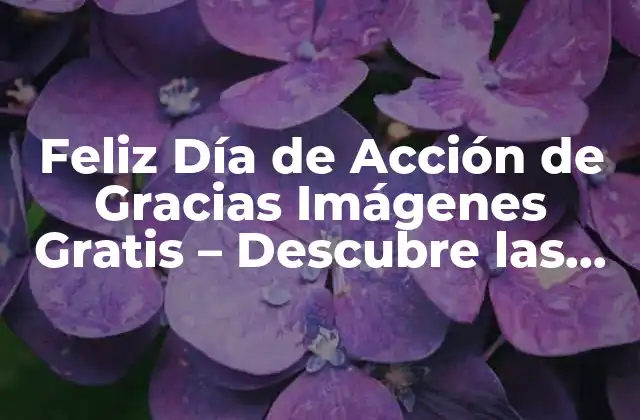 Feliz Día de Acción de Gracias Imágenes Gratis – Descubre las Mejores Opciones