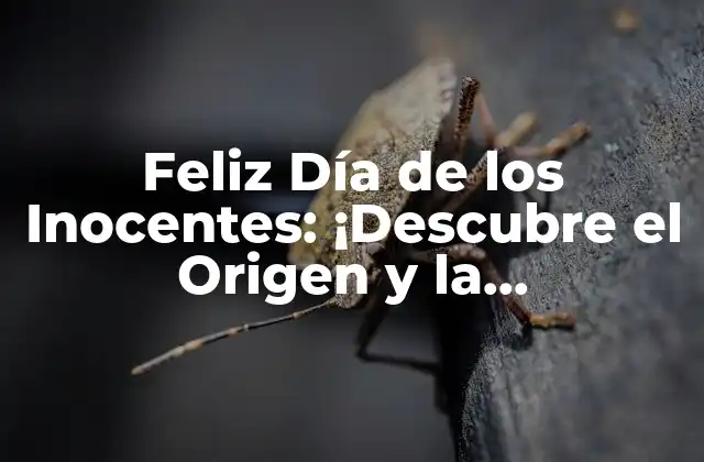 Feliz Día de los Inocentes: ¡descubre el Origen y la Significación de Esta Fiesta!