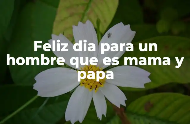 La importancia de reconocer a los padres que dan lo mejor de sí mismos