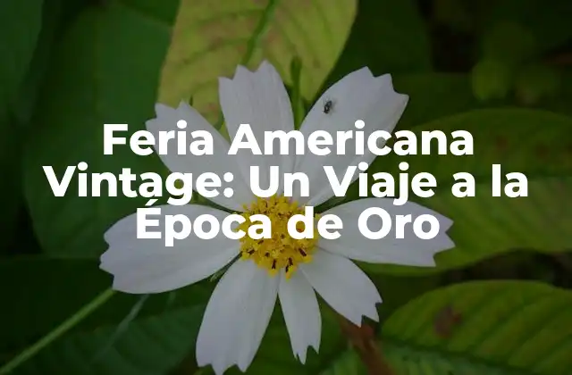 Feria Americana Vintage: un Viaje a la Época de Oro