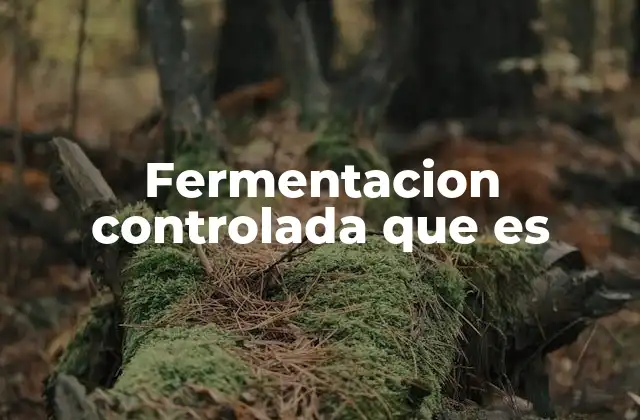 Fermentacion Controlada que es