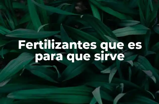 Tipos de fertilizantes y su función en el suelo