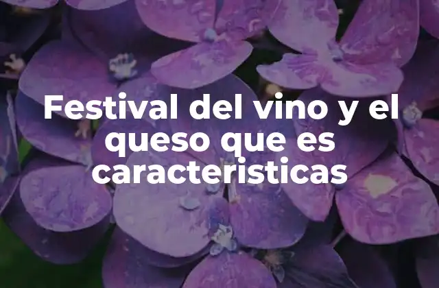 Festival Del Vino y el Queso que es Caracteristicas