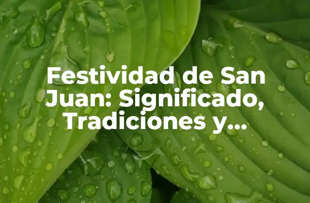 Festividad de San Juan: Significado, Tradiciones y Celebraciones