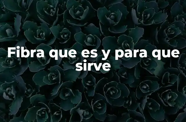 Fibra que es y para que Sirve