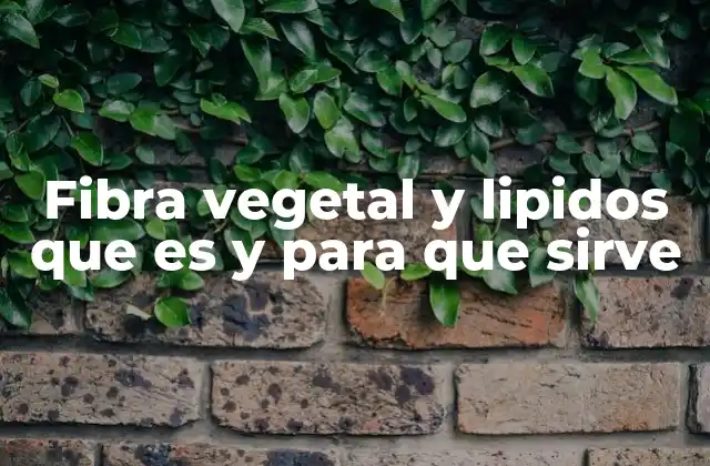Fibra Vegetal y Lipidos que es y para que Sirve