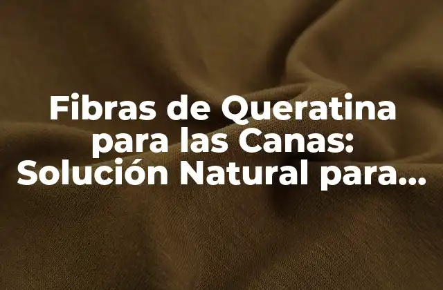 Fibras de Queratina para las Canas: Solución Natural para el Blanqueamiento Del Cabello