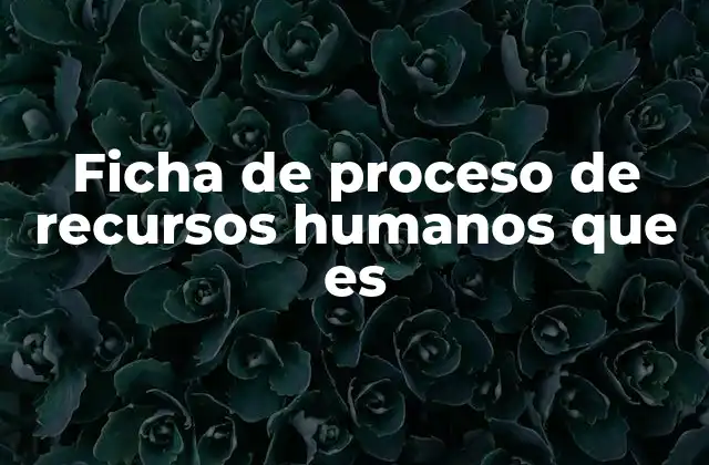 Ficha de Proceso de Recursos Humanos que es