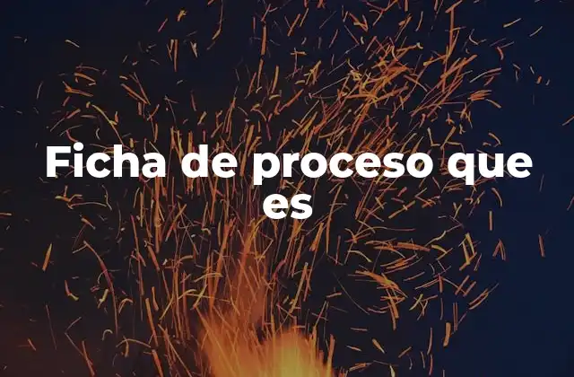 Ficha de Proceso que es