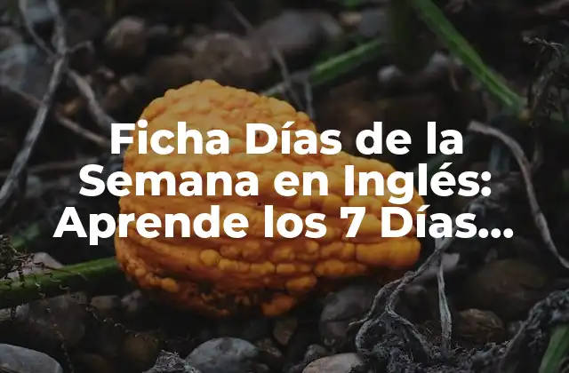 Ficha Días de la Semana en Inglés: Aprende los 7 Días Correctamente