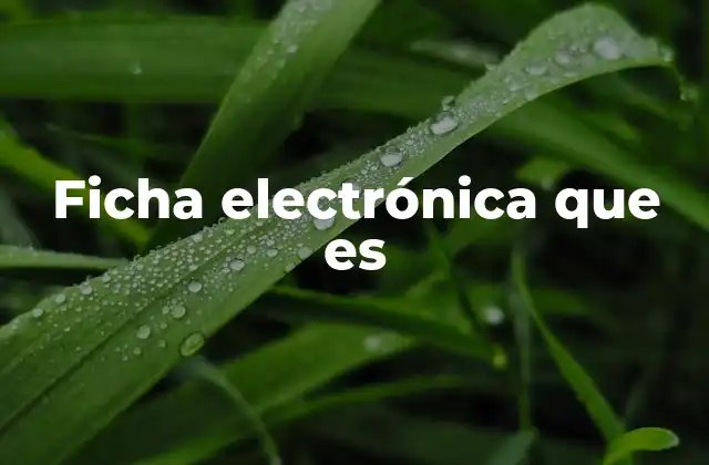 Ficha Electrónica que es