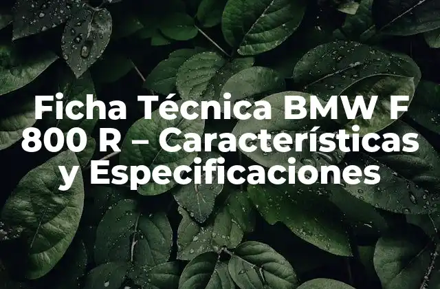 Ficha Técnica Bmw F 800 R – Características y Especificaciones