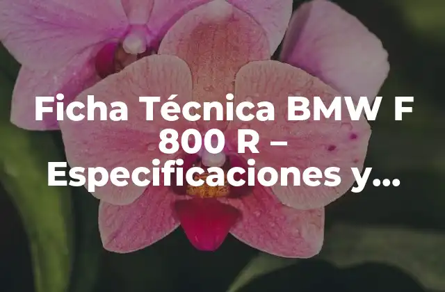 Ficha Técnica Bmw F 800 R – Especificaciones y Características