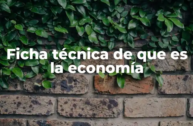 Ficha Técnica de que es la Economía