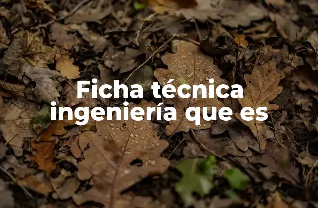 Ficha Técnica Ingeniería que es