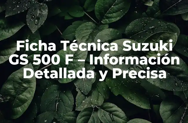 Ficha Técnica Suzuki Gs 500 F – Información Detallada y Precisa