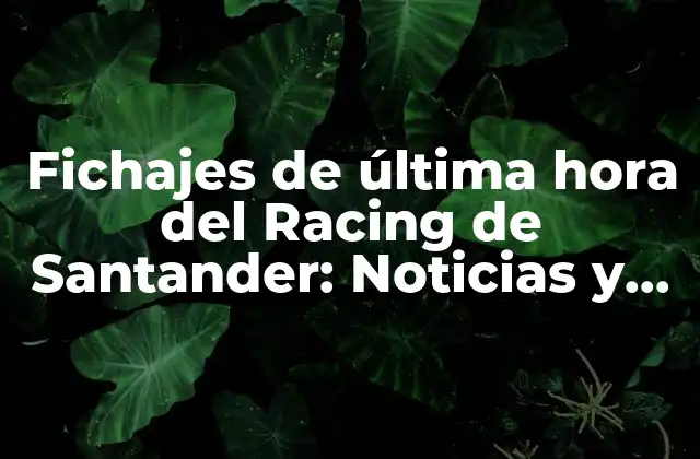 Fichajes de Última Hora Del Racing de Santander: Noticias y Análisis 2 ¿Qué son los fichajes de última hora?