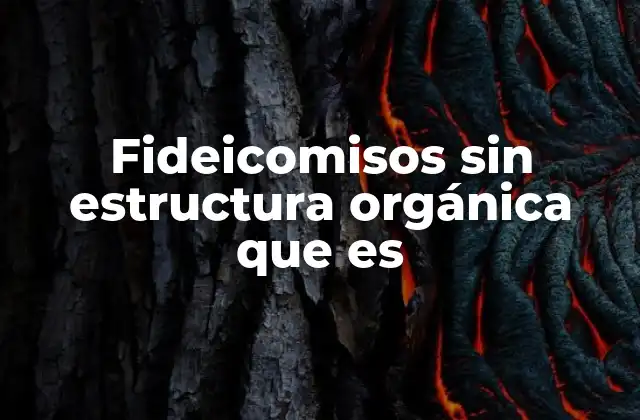 Características esenciales de los fideicomisos sin estructura orgánica
