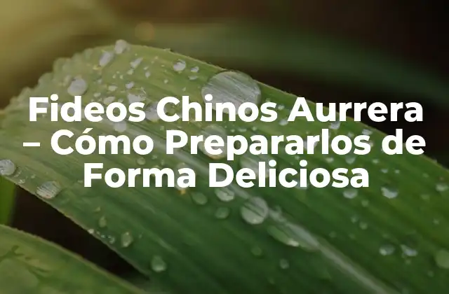 Fideos Chinos Aurrera – Cómo Prepararlos de Forma Deliciosa
