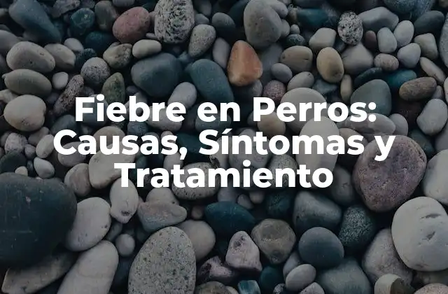 Fiebre en Perros: Causas, Síntomas y Tratamiento 2 Causas Comunes de la Fiebre en Perros