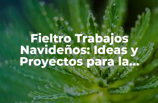 Fieltro Trabajos Navideños: Ideas y Proyectos para la Temporada de Navidad