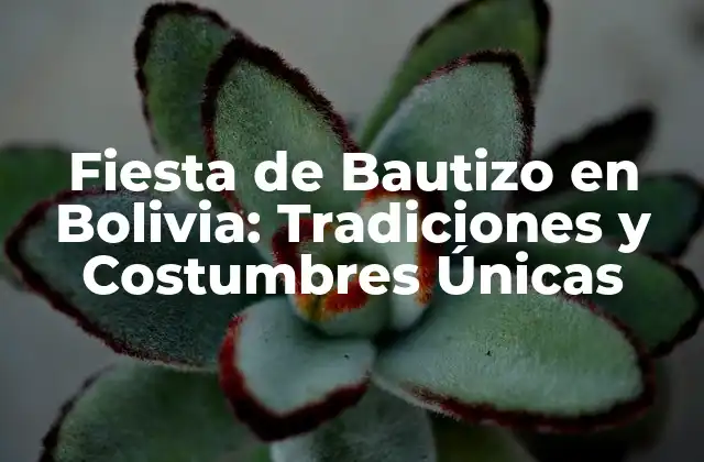 Fiesta de Bautizo en Bolivia: Tradiciones y Costumbres Únicas