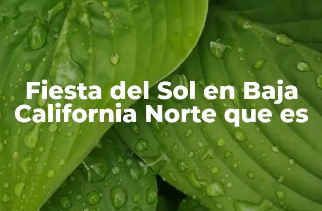 Fiesta Del Sol en Baja California Norte que es