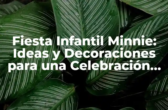 Fiesta Infantil Minnie: Ideas y Decoraciones para una Celebración Inolvidable