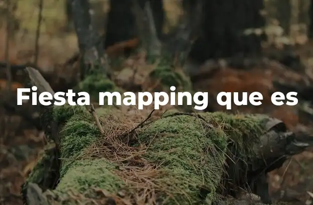 Fiesta Mapping que es