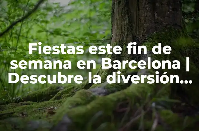 Fiestas Este Fin de Semana en Barcelona | Descubre la Diversión Nocturna