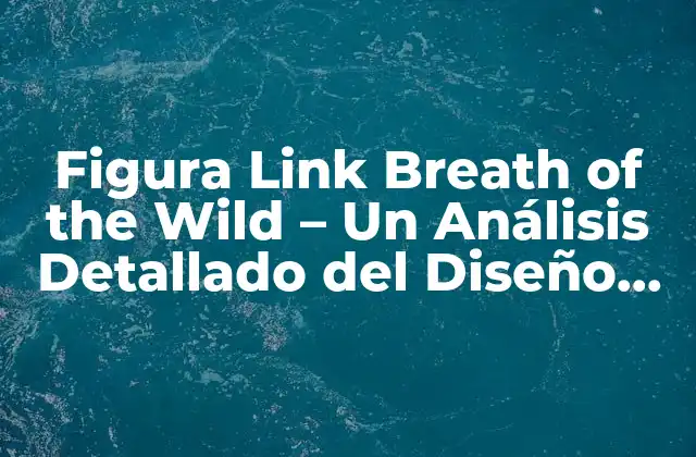 Figura Link Breath Of The Wild – un Análisis Detallado Del Diseño de Personaje