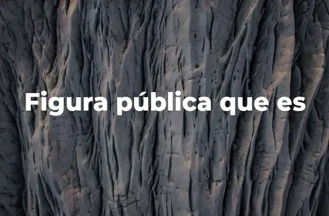 Figura Pública que es